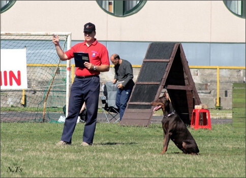 Sasha - Estonia championship 2007  in IPO 3